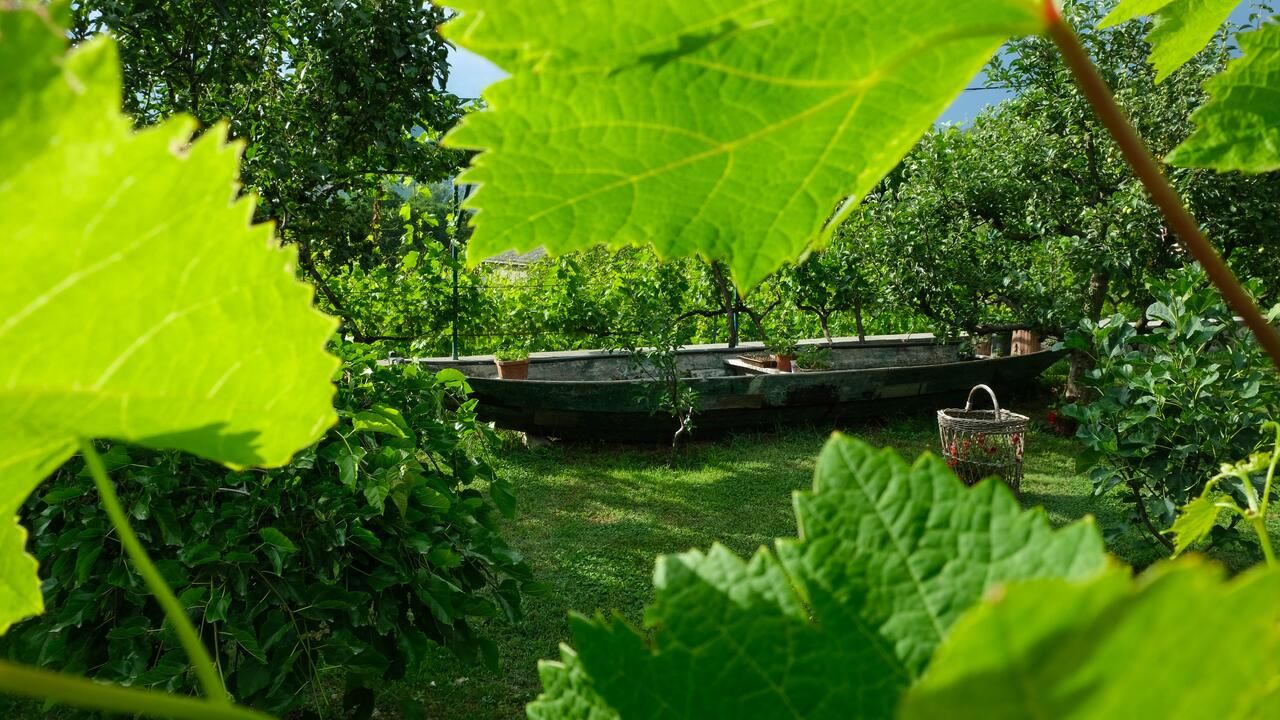 Загородные дома Country House Djurisic Вирпазар-13