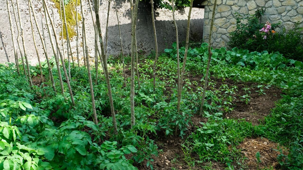 Загородные дома Country House Djurisic Вирпазар-36