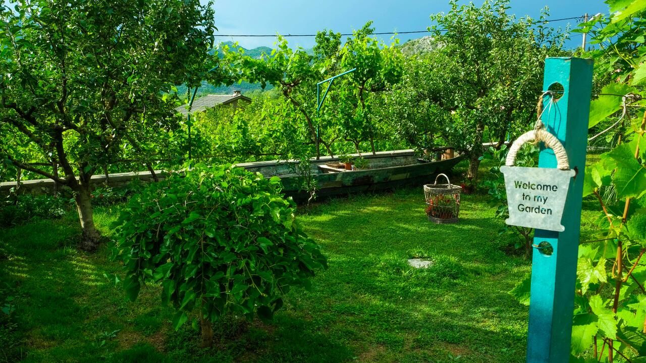 Загородные дома Country House Djurisic Вирпазар-12