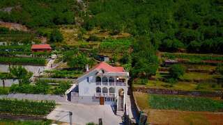 Загородные дома Country House Djurisic Вирпазар Двухместный номер с 1 кроватью-1