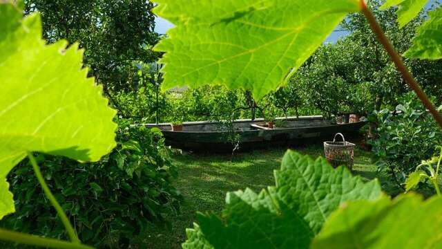 Загородные дома Country House Djurisic Вирпазар-12