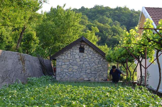 Загородные дома Country House Djurisic Вирпазар-30