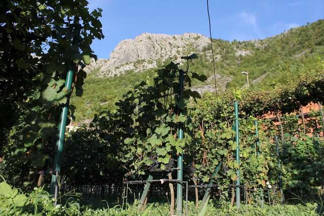 Загородные дома Country House Djurisic Вирпазар-40